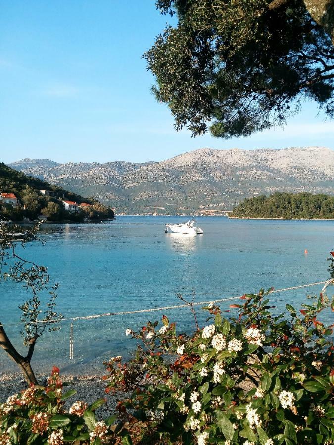 Apartments Milea Korčula Exteriör bild